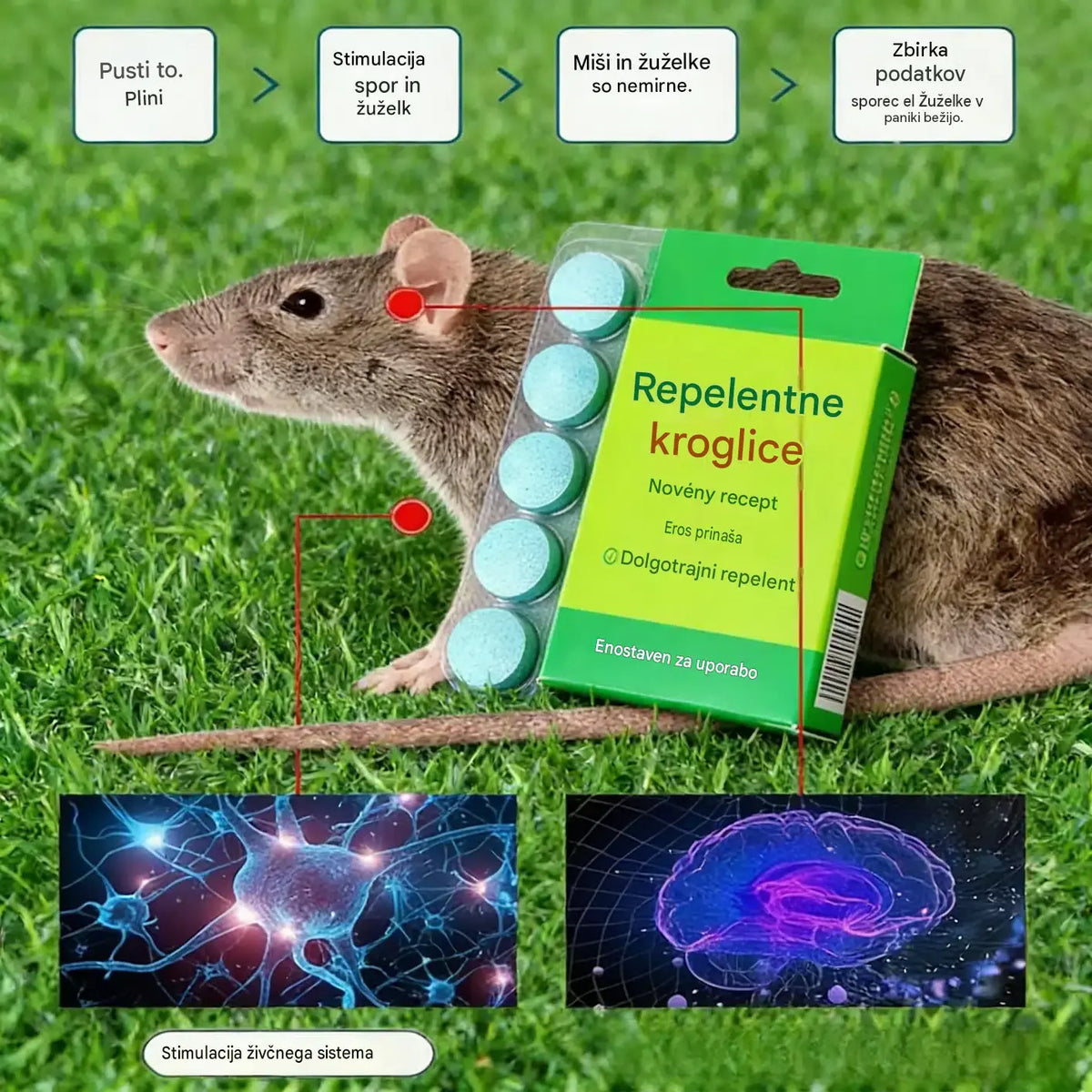 🔥【50 kapsul】🚫🐀Močne tablete za odganjanje podgan, čarobno orodje za odganjanje podgan