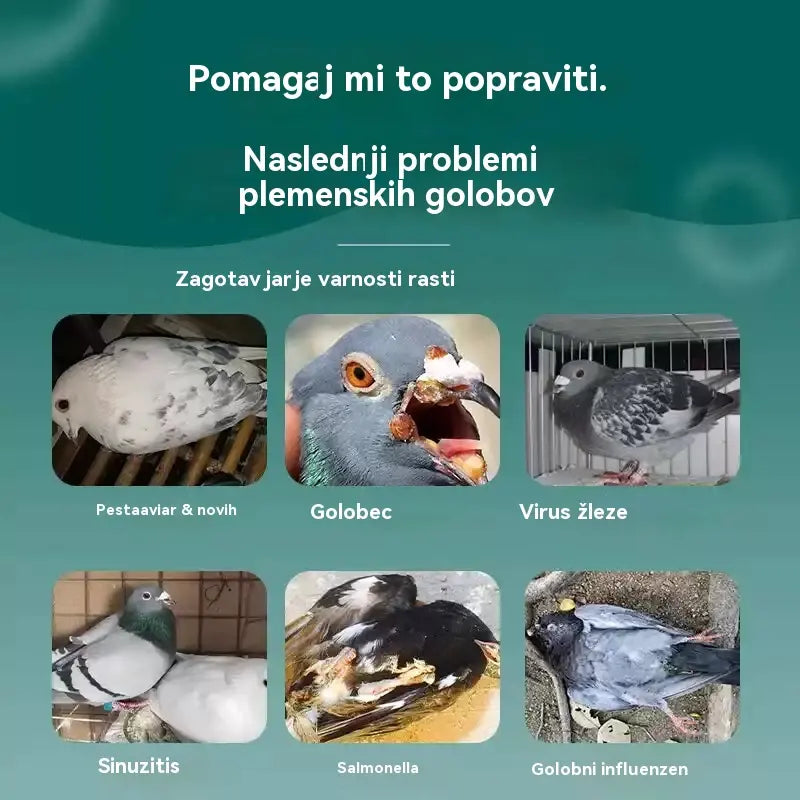 🕊️🕊️100 tablet, posebno zdravilo za tekmovalne golobe, 6-v-1 zdravljenje za golobe - hitro celjenje, opazni rezultati!