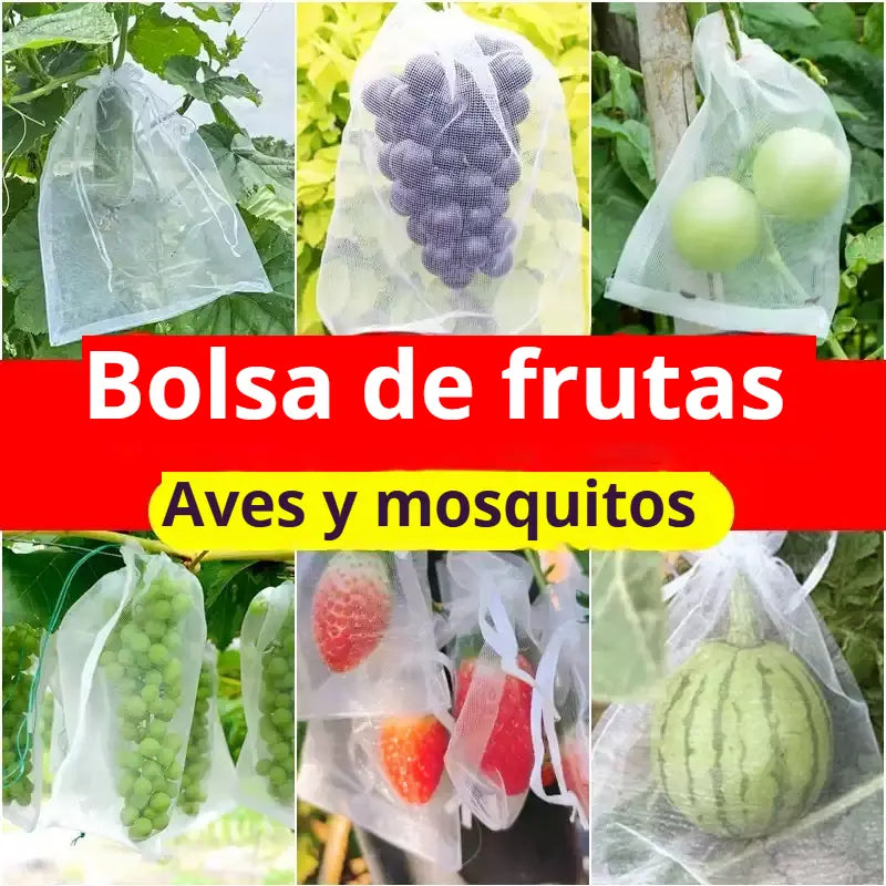 ✅【50 piezas 25 euros（30x20cm）】Red de insectos para moscas de frutas, red de protección de árboles de paisaje para pájaros, bolsas de red de jardín para proteger flores, plantas, frutas, verduras