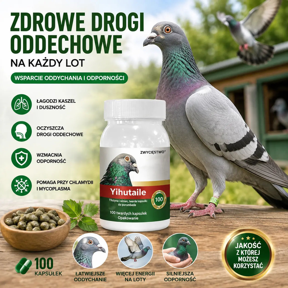 🔥【100 tabletek】🕊️Specjalny lek dla gołębi, stosowany w leczeniu kaszlu, świszczącego oddechu, łzawienia, niewyraźnego widzenia, jaglicy i czarno-czerwonej wydzieliny z nosa