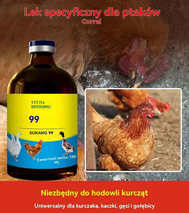 🔥【30% OFF】💊🐓🦆🕊️ Lek na ptasią grypę, utratę apetytu, biegunkę i kaszel u drobiu, kurczaków, kaczek i gęsi. 1 butelka 100 ml.