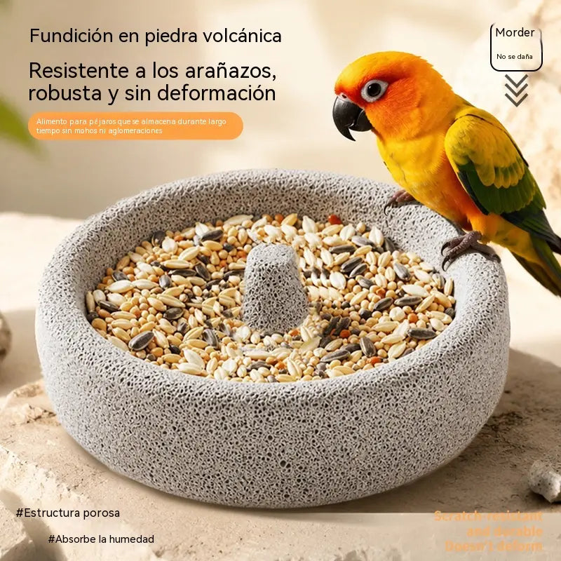 😍 Los más vendidos con un 50 % de descuento 🎉🐦 Comedero y limador de pico 2 en 1 de roca volcánica para aves