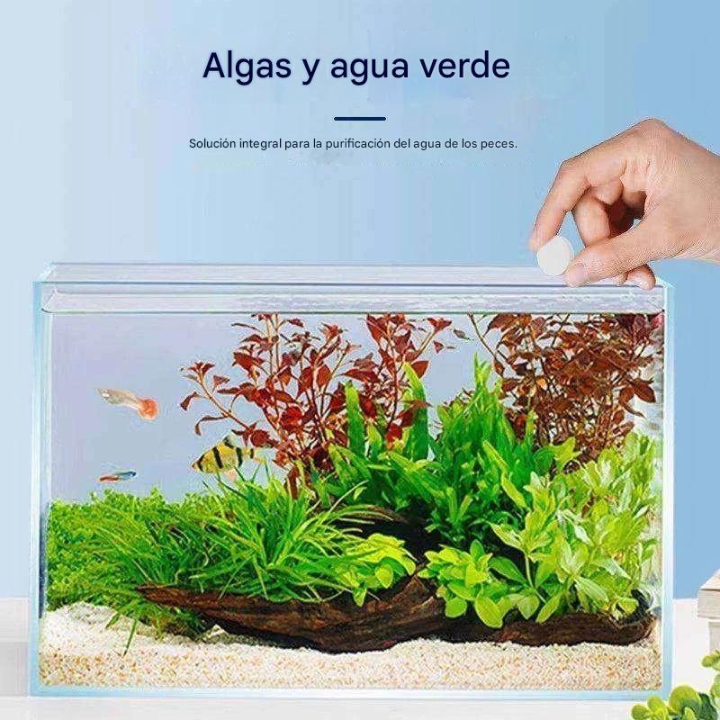 🐠🌿 Eliminador de musgo y agua verde para acuarios