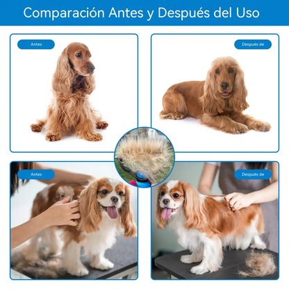 【compre uno y llévese otro gratis】 Herramienta profesional para eliminar el pelo muerto de perros y gatos: suave, eficaz y un hogar libre de pelo