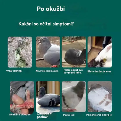 🕊️🕊️100 tablet, posebno zdravilo za tekmovalne golobe, 6-v-1 zdravljenje za golobe - hitro celjenje, opazni rezultati!