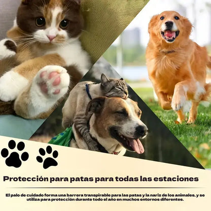 💧🐾 Hidratáló mancsbalzsam – 🐶 Kényeztesd kedvenced puha és egészséges mancsait