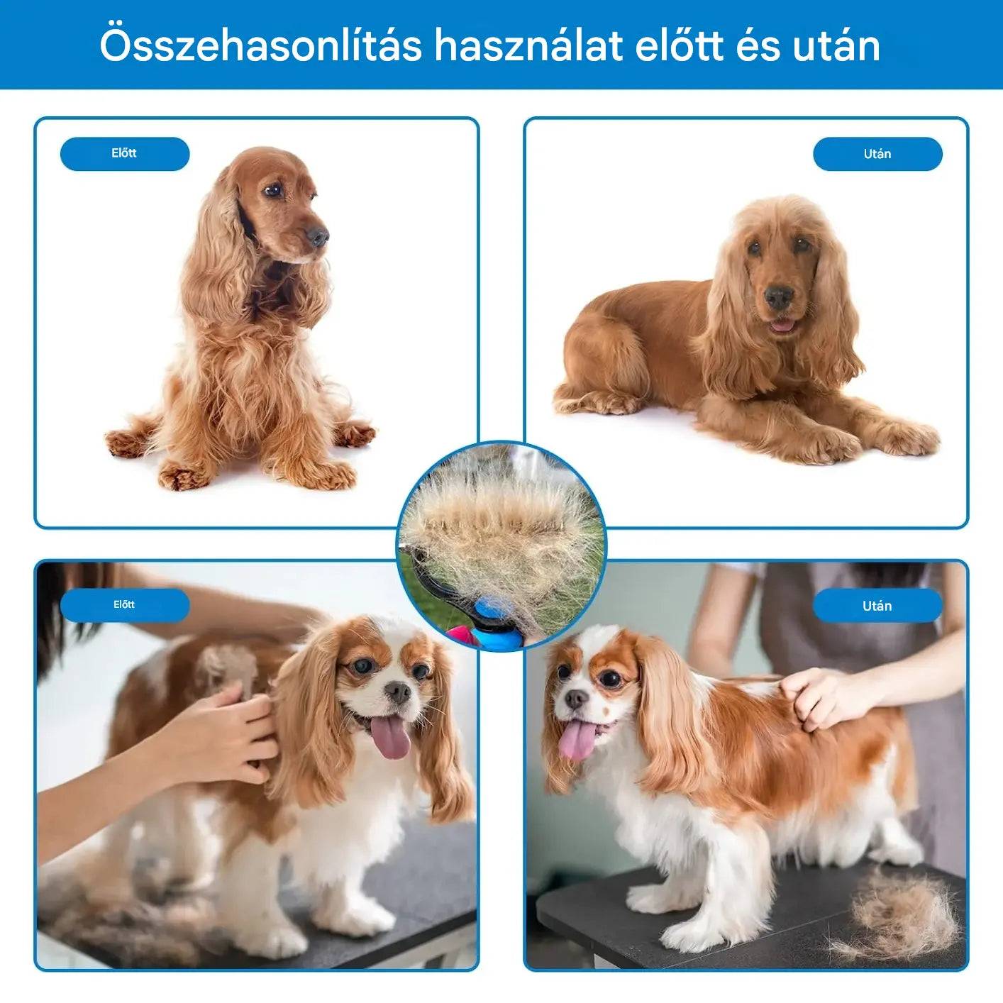 🐕🐱【Vásároljon 1-et, kapjon 1-et ingyen】🐾 Professzionális eszköz kutyák és macskák elhalt szőrének eltávolítására: gyengéd, hatékony és szőrmentes otthon ✨💖