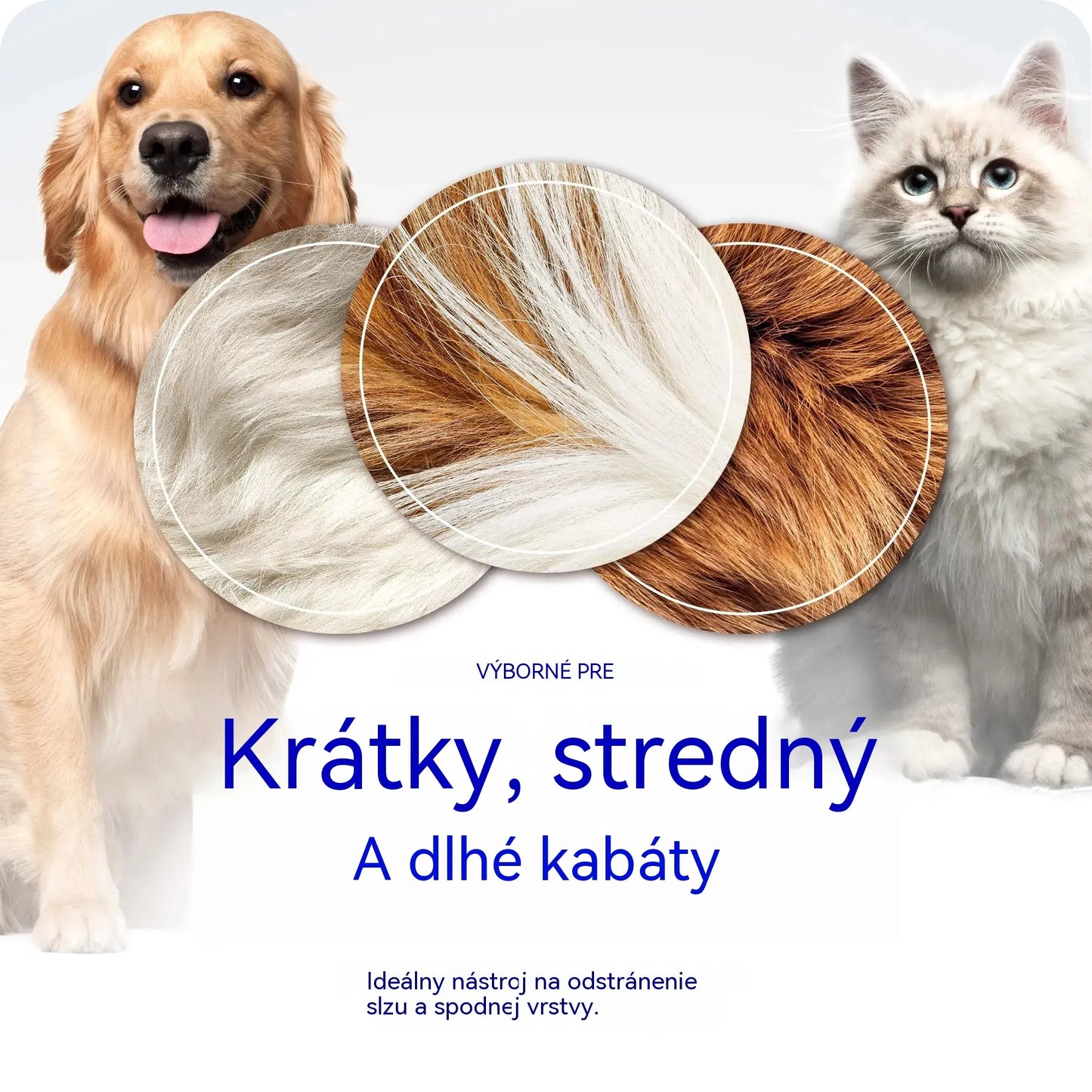 🐕🐱【2 kusy 23 eur】Kúpte jeden, druhý dostanete zadarmo! 🐾 Profesionálny nástroj na odstraňovanie odumretých chlpov u psov a mačiek: jemný, účinný a bez chlpov doma ✨💖