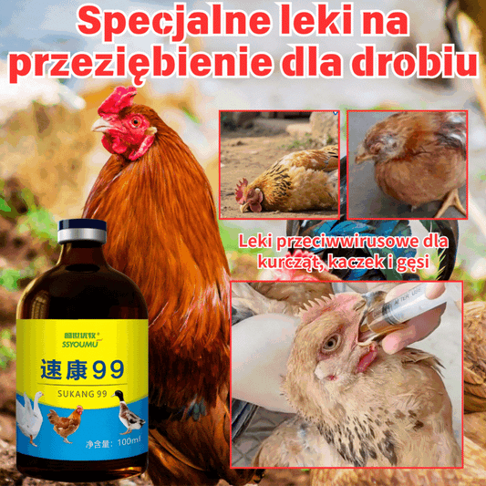 🔥【30% OFF】💊🐓🦆🕊️ Lek na ptasią grypę, utratę apetytu, biegunkę i kaszel u drobiu, kurczaków, kaczek i gęsi. 1 butelka 100 ml.