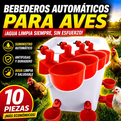 🔥【Paquete de 10】🐔Bebedero automático para aves de corral | No requiere riego manual, esencial para los criadores de pollos y patos.