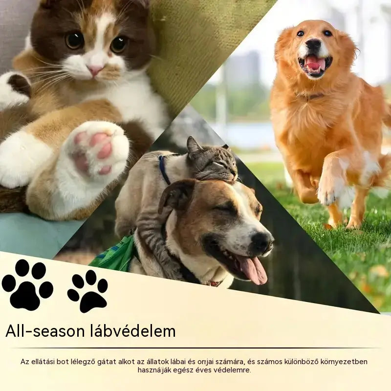 💧3 tétel 8300 Ft🐾 Hidratáló mancsbalzsam – 🐶 Kényeztesd kedvenced puha és egészséges mancsait