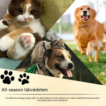 💧3 tétel 8300 Ft🐾 Hidratáló mancsbalzsam – 🐶 Kényeztesd kedvenced puha és egészséges mancsait