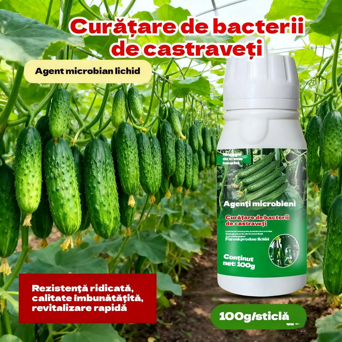 🥒🥒【3 botellas】Fungicida sistémico para pepinos – Control eficaz de bacteriosis, manchas amarillas y enfermedades foliares