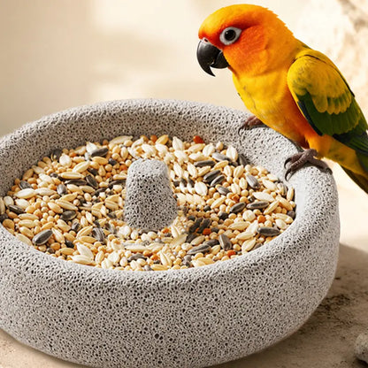 😍 Los más vendidos con un 50 % de descuento 🎉🐦 Comedero y limador de pico 2 en 1 de roca volcánica para aves