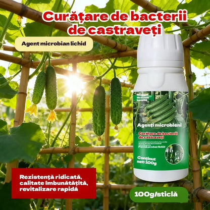 🥒🥒【3 botellas】Fungicida sistémico para pepinos – Control eficaz de bacteriosis, manchas amarillas y enfermedades foliares