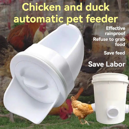 [Perforadora + 5 comederos] Comedero automático para pollos, patos y gansos