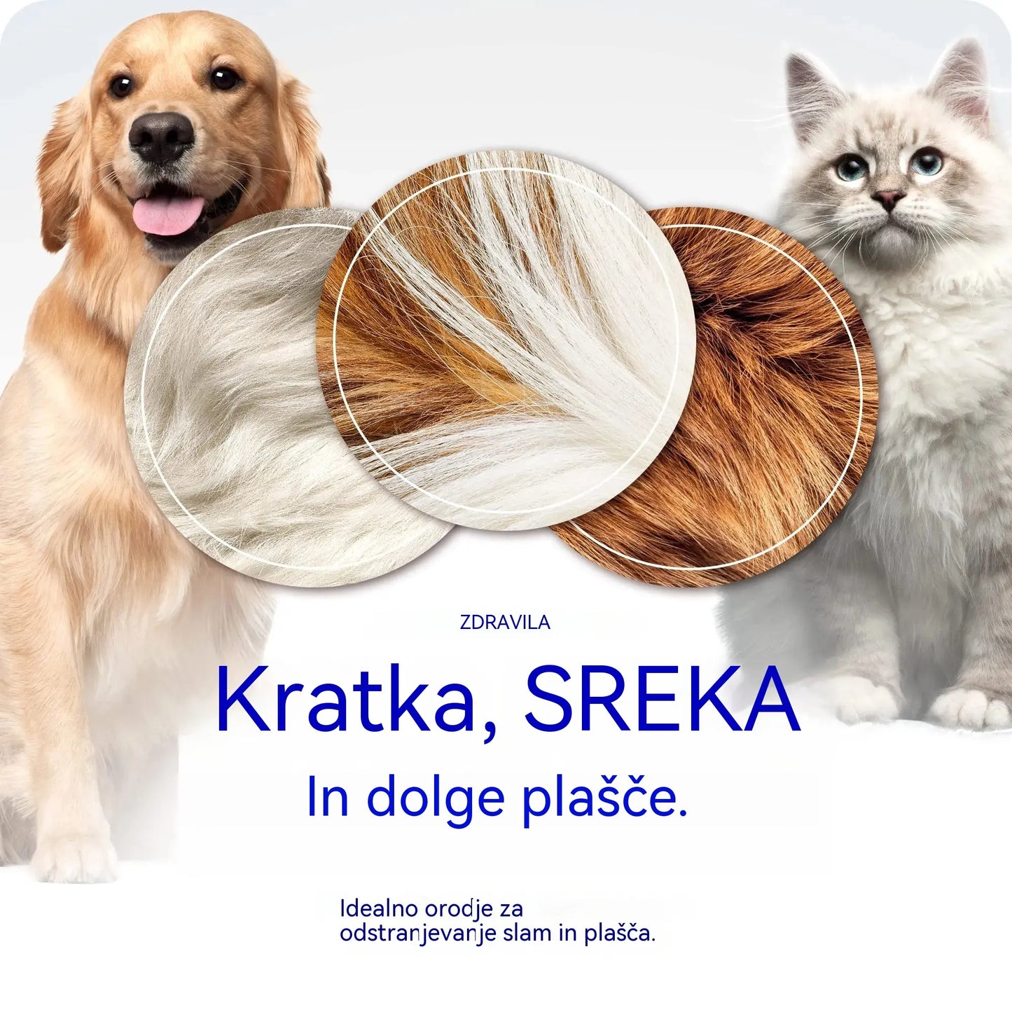 🐕🐱【2 kosa 22 evrov】Kupite enega, enega dobite brezplačno! 🐾 Profesionalno orodje za odstranjevanje odmrle dlake pri psih in mačkah: nežno, učinkovito in brez dlak doma ✨💖