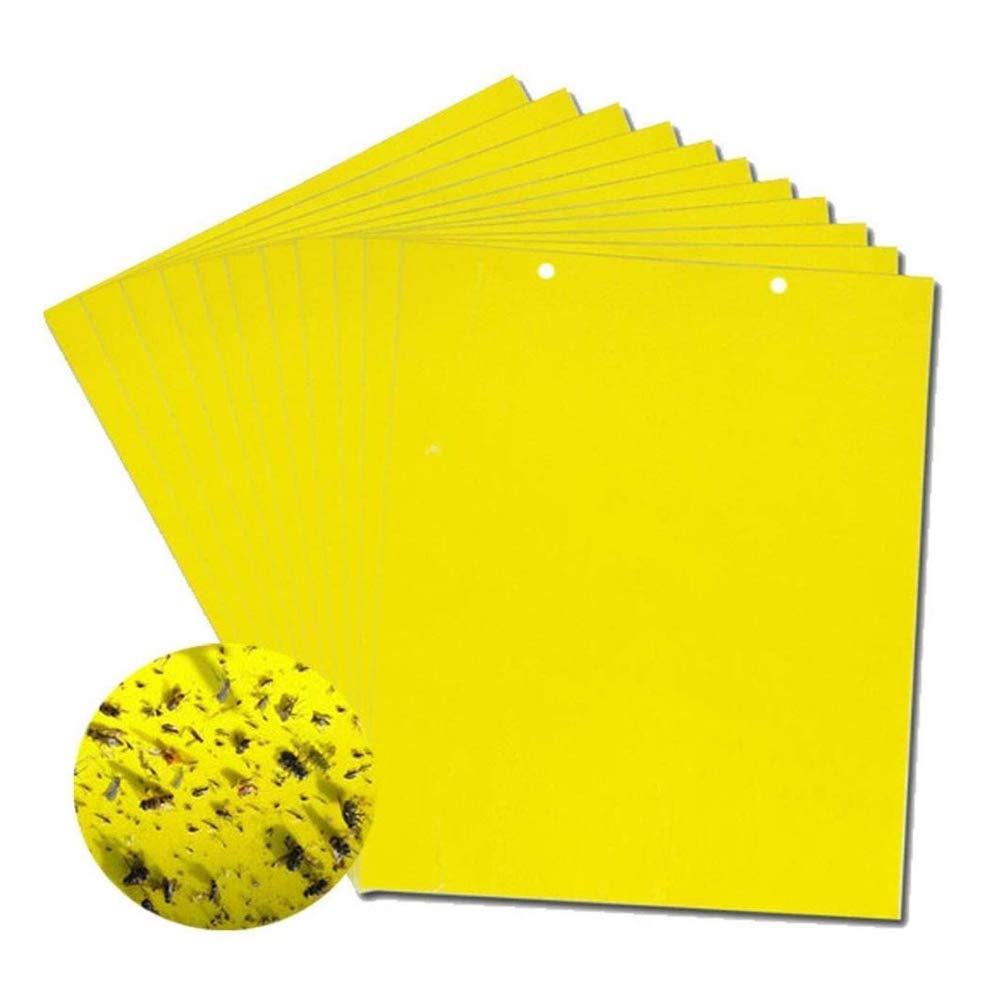 🔥🔥【50% de descuento】60 piezas 27 euros【Oferta por tiempo limitado】💥Tablero adhesivo de insectos de doble cara amarillo