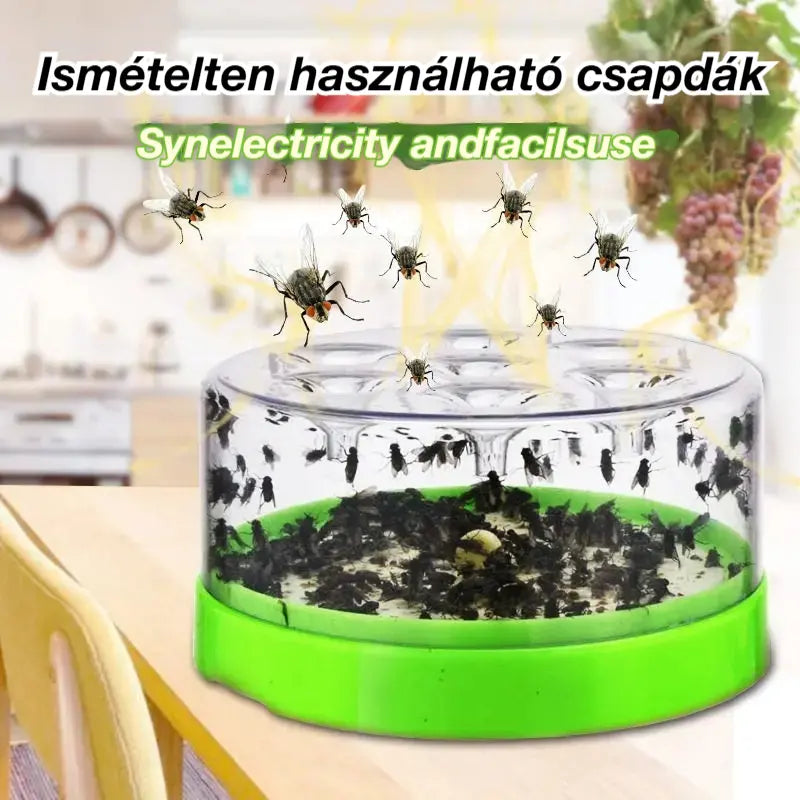 🦟🦟 Újrafelhasználható légycsapó – Nem igényel áramot és könnyen használható 🏡