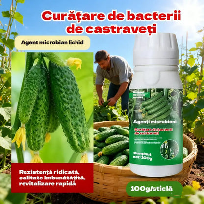 🥒🥒【3 botellas】Fungicida sistémico para pepinos – Control eficaz de bacteriosis, manchas amarillas y enfermedades foliares