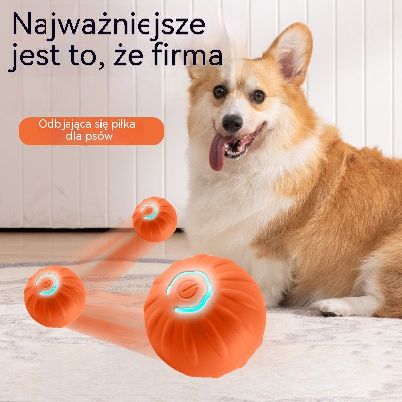 🐶🎁Inteligentna interaktywna, odbijająca się piłka dla zwierząt