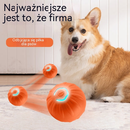 🐶🎁Inteligentna interaktywna, odbijająca się piłka dla zwierząt