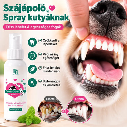 🐶🐱【Vásároljon 1-et, kapjon 2-t ingyen】Állatszőr- és fogtisztító spray