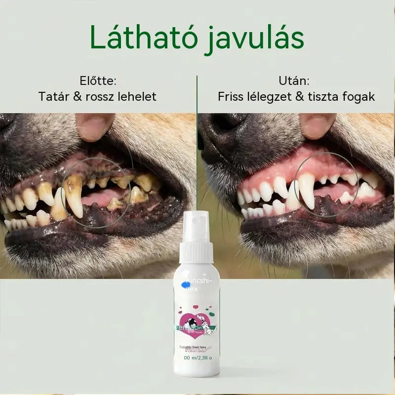🐶🐱【Vásároljon 1-et, kapjon 2-t ingyen】Állatszőr- és fogtisztító spray