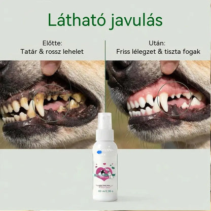 🐶🐱【Vásároljon 1-et, kapjon 2-t ingyen】Állatszőr- és fogtisztító spray
