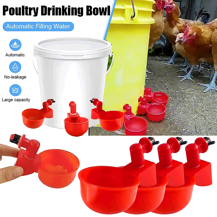 🔥【Paquete de 10】🐔Bebedero automático para aves de corral | No requiere riego manual, esencial para los criadores de pollos y patos.