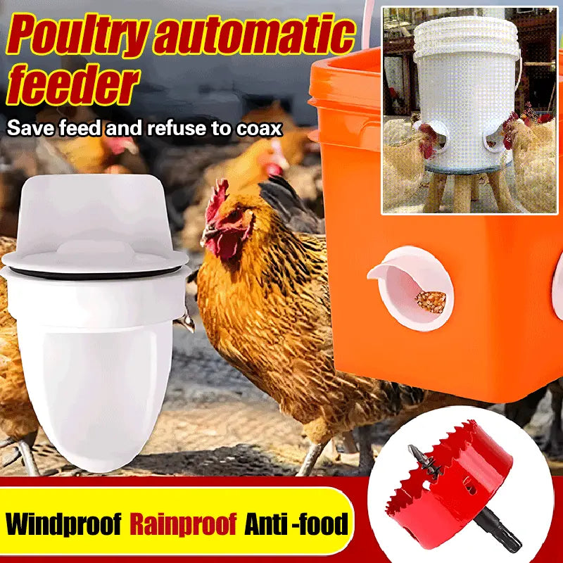 [Perforadora + 5 comederos] Comedero automático para pollos, patos y gansos
